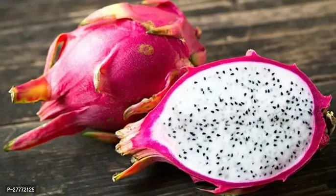 Dragon fruit plant