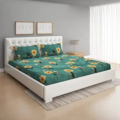 Hot Selling Bedsheets 