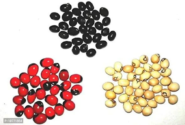 Pmw - Red Gunja Black Chirmi White Gurinvida Beads 21 Pieces Each Ratti Gumchi Madhuyastika for Lakshmi Mahakali and Saraswati