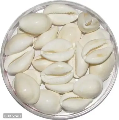 pmw Tella Gavvalu Ceramic Cowrie Shells - 108 Pieces (Pure White)