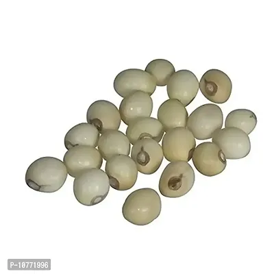 Pmw - 100% Natural & Rare White Gunja - Swetha Gunja - Rakt Gunja - Gurivanta - White Rosary Pea - Chanoti - Latumoni - 151 Pieces
