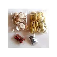 PMW Maha Lakshmi Set - Kowri 11 Pcs , Lal Gunja 11 pcs , Gomati Chakra 11 pcs and Lotus Seeds 11 Pcs-thumb1