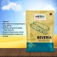 HEDO Beauveria Bassiana (1x10^8CFU/g)(1Kg) For Plants To Control  Aphids, Thrips ,Whiteflies-thumb2