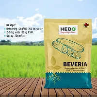 HEDO Beauveria Bassiana (1x10^8CFU/g)(1Kg) For Plants To Control  Aphids, Thrips ,Whiteflies-thumb4