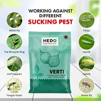 HEDO Verticillium Lecanii Bio-Organic Powder (1Kg) For Control Sucking Insects/Pest-thumb1