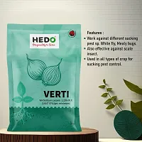 HEDO Verticillium Lecanii Bio-Organic Powder (1Kg) For Control Sucking Insects/Pest-thumb4