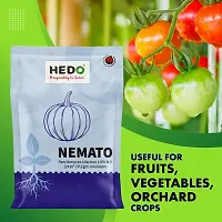 HEDO Nemato (Paecilomyces Lilacinus 2 x10^8 CFU/g) Bio Organic For Seeds  Garden-thumb1