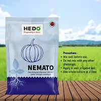 HEDO Nemato (Paecilomyces Lilacinus 2 x10^8 CFU/g) Bio Organic For Seeds  Garden-thumb3