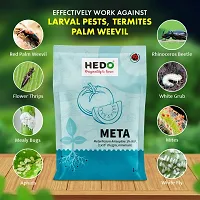 HEDO Metarhizium Anisopliae (1 x 10^8 CFU/g) (1Kg) Bio-Organic  For to control Rhinoceros Beetle,Red Palm weevils,white Grub, Aphids, Thrips, MealyBugs,Mites etc-thumb1