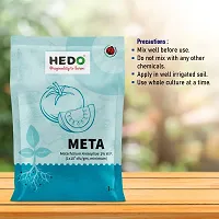 HEDO Metarhizium Anisopliae (1 x 10^8 CFU/g) (1Kg) Bio-Organic  For to control Rhinoceros Beetle,Red Palm weevils,white Grub, Aphids, Thrips, MealyBugs,Mites etc-thumb2