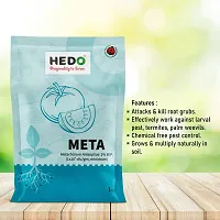 HEDO Metarhizium Anisopliae (1 x 10^8 CFU/g) (1Kg) Bio-Organic  For to control Rhinoceros Beetle,Red Palm weevils,white Grub, Aphids, Thrips, MealyBugs,Mites etc-thumb3