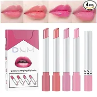 4 Colors Makeup Lipstick Cosmetics Lipstick Set Lip Tint Lip Gloss Waterproof Matte Long Lasting Make Up Pomade-thumb1