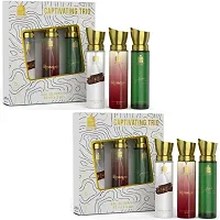 3 Pcs Set of Premium Perfume Spray 30ml x 3-thumb3