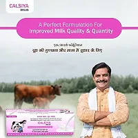 Calsiya Bolus Calcium And Multivitamin Vet Bolus For Lactating Cows-thumb1