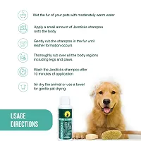 Tail  Collar Club Herbal Shampoo for Dogs Flea and Ticks with Eucalyptus Oil and Aloe Tick Shampoo for All Breeds with Comb Labrador Persian Cat German Shepherd - Jeroticks Shampoo  Brush - 200ml-thumb3