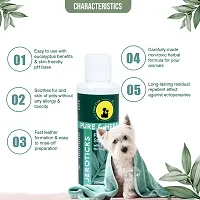 Tail  Collar Club Herbal Shampoo for Dogs Flea and Ticks with Eucalyptus Oil and Aloe Tick Shampoo for All Breeds with Comb Labrador Persian Cat German Shepherd - Jeroticks Shampoo  Brush - 200ml-thumb1