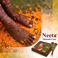 Neeta Mehendi Cone Body Art All Natural Herbal Pure Henna Past (Pack of 24 Pieces) Pack of 2-thumb3