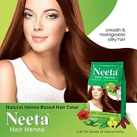 Neeta Henna Based Hair Color Powder, 125g (Pack of 4) - Natural Brown-thumb3