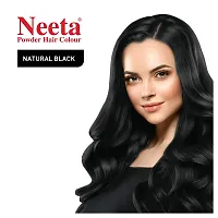 Neeta Natural Henna Based Hair Color Silky  Shiny Soft Hair with benefit of Natural Herbs 5gm Each Pack (Natural Black, Pack of 12)-thumb2