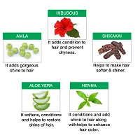 Nisha Henna Based Hair Color 15gm Each Sachet No Ammonia Long Lasting (Pack of 10, Burgundy Red)-thumb4
