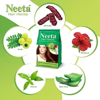 Neeta Henna Based Hair Color Powder, 125g (Pack of 4) - Natural Brown-thumb2