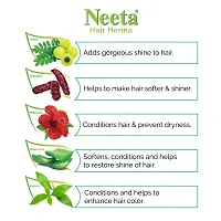 Neeta Hair Henna Colour Natural Brown Hair Color with 5 Natural Herbs, Ammonia Free Hair Colour for Women and Men, Natural Henna Based Hair Color-thumb3