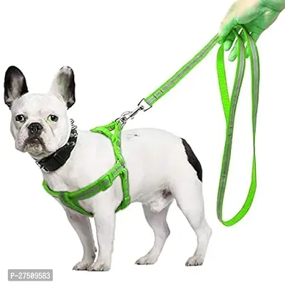 Stylish Green Smart Pups Dogs Nylon Reflective Dog Leash Lead Set Adjustable, Nylon 15 Mm Puppy Body Belt Set Reflective For Small Breed Pets