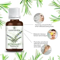 KAYAYURVEDA Rosemary Essential Oil - 100% Pure Therapeutic Grade Rosemary Oil-thumb1