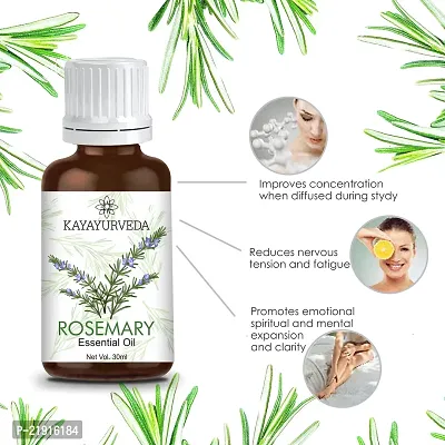 KAYAYURVEDA Rosemary Essential Oil - 100% Pure Therapeutic Grade Rosemary Oil-thumb2