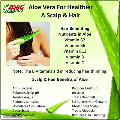 Zorg Organics Pure Natural Aloe Vera Gel (250 Gram ) - Ideal for Skin Treatment, Face, Acne Scars, Hair Treatment-thumb3
