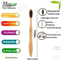 Mini Storify Truly Organic 1.Bamboo Cotton ear buds/swabs | 80 Stems | 2. Kids bamboo tooth brush - Oral Cleaning, | 2. Loufah/loofah Pads, Sponge Body scrubber | 6. Bamboo Straw (8 inch) (PACK OF 11)-thumb3