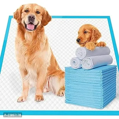 90X60Cm Dog Training Pads Xl, Pack Of 60