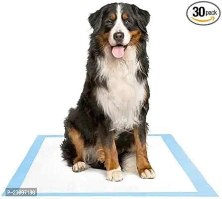 Pet Training Pads 90 X 60 Cms, 30 Pads