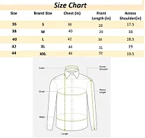 Combo of 2 Casual Shirts for Men-thumb3