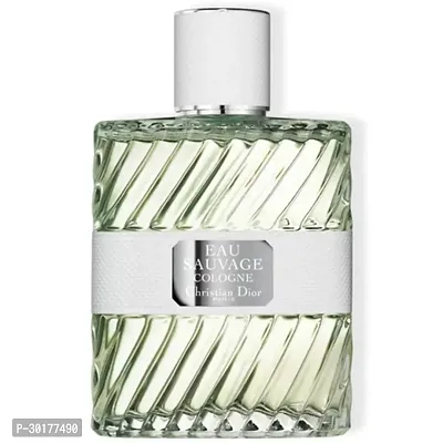 Long Lasting Fragrance Perfume For Men