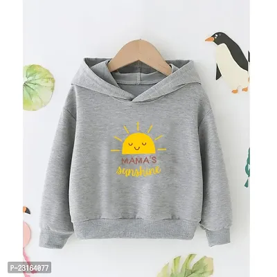 Trendy Kids Grey Cotton Sweatshirt For Boys