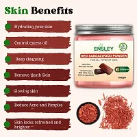 Ensley Face Pack Red Sandalwood And Beet Root And Shikakai Powder (Multicolour_300Gm)Pack Of 3 (100Gm Each)-thumb3