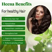 Ensley Pure Heena Powder For Natural Texture (Green_400 Gm-Pack Of 4)-thumb1