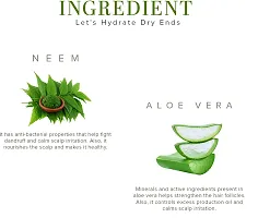 Aloevera 2 in 1 Shampoo-thumb2