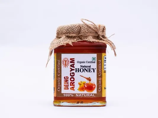 Being Arogyam Organic Natural Honey 500gm