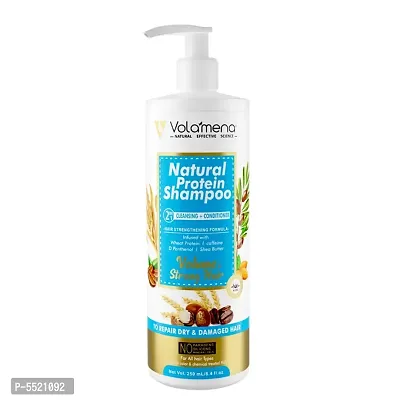 Natural Protein 2 in 1 Hair Shampoo (250 ml)