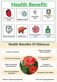 Natural Fresh HIBISCUS POWDER Food grade for Improves Immunity, Digestion, Hemoglobin level Reduces Diabetes, Cholesterol Hair Growth, Skin And Face care 500g-thumb2