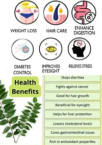 Natural Pure CURRY LEAF POWDER for Reduces Stress And Diabetes Improves Memory And Eyesight Hair Growth, Skin And Face care 500g-thumb2