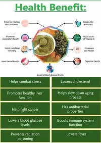 Natural Fresh TULSI POWDER for Boosts Immunity Reduces Cold, Cough And Other Respiratory Disorders Reduces Diabetes, Stress And Fatigue Hair And Skin care 500g-thumb2