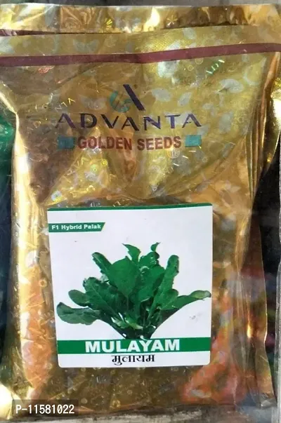 Omom Adavanta Upl Spinach Seeds