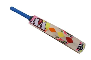 AA Tennis Ball Cricket Bat-thumb1