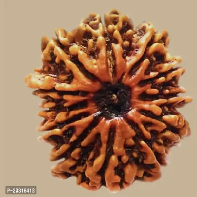 Harmonize Your Energies: Harness the Power of 10 Mukhi Rudraksha.