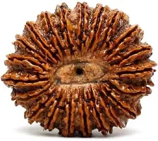 Awaken Your Spirit: 21 Mukhi Rudraksha for Higher Consciousness-thumb1