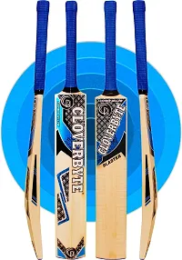 Best Quality Blaster Sports Kashmiri Willow Wooden Bat With Cover For 15+ Years Age Kashmir Willow Cricket Bat (800-1200 Kg)-thumb1