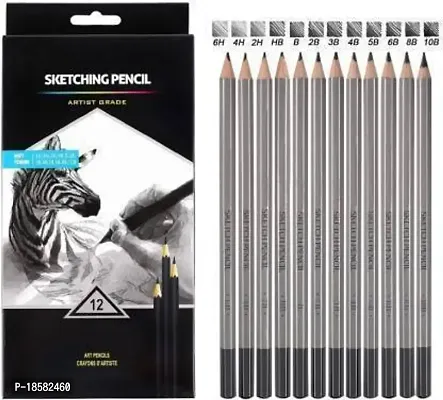 Prescent Sketching Pencils 10B, 8B, 6B, 5B, 4B, 3B, 2B, B, HB, 2H, 4H, 6H Graphite Pencils for Beginners  Pro Artist Pencil (Pack of 12)